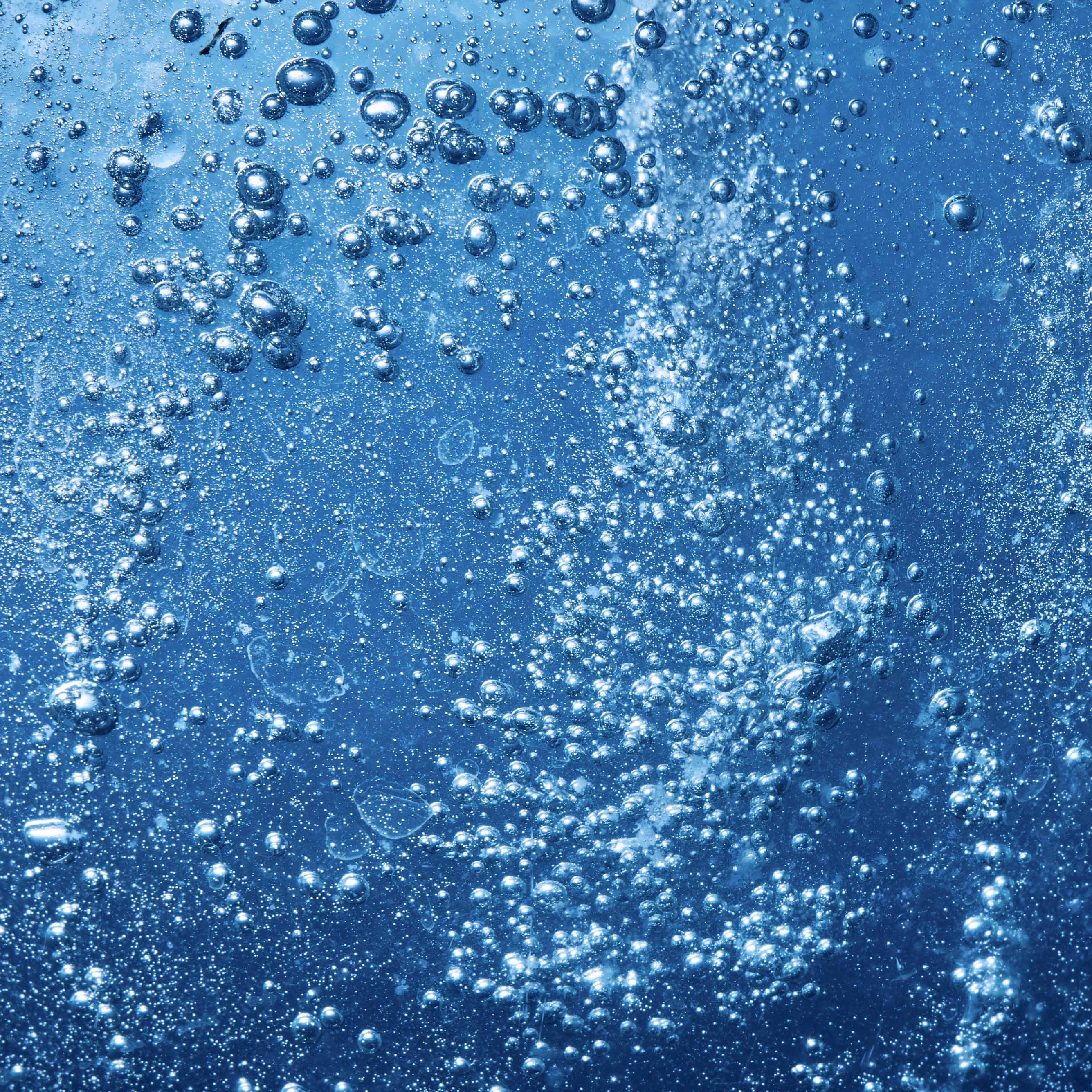 The human body and water